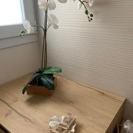 Luna&sole Oreste - Self Check-in *